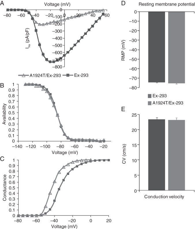 Figure 3