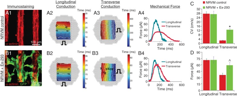 Figure 2