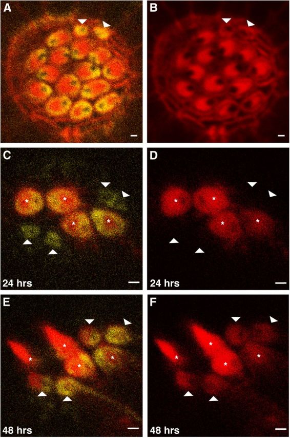 Figure 3.