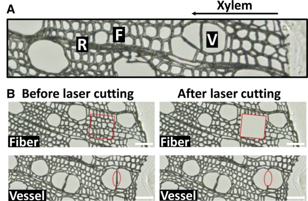 Figure 2.