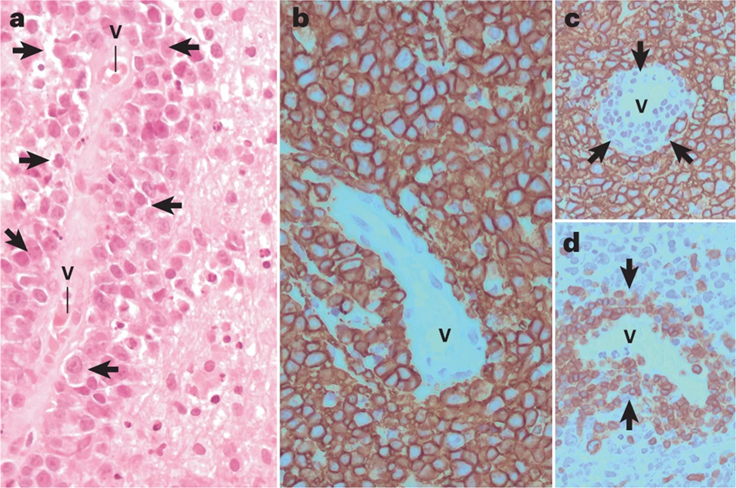 Figure 2: