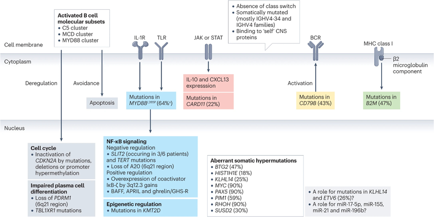 Figure 1: