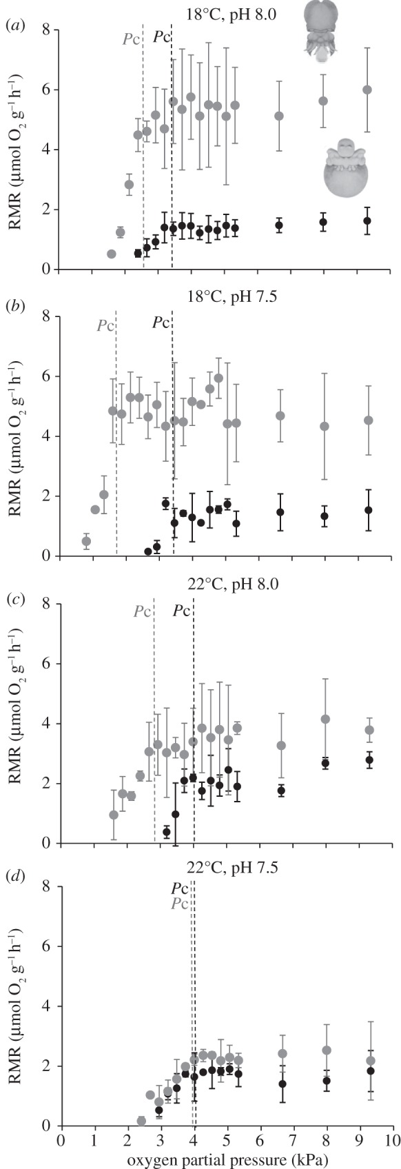 Figure 3.