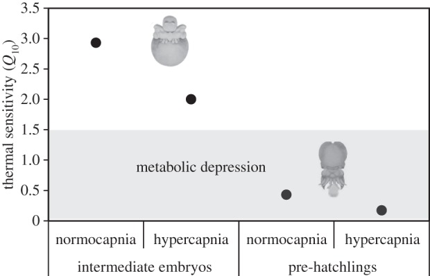 Figure 4.