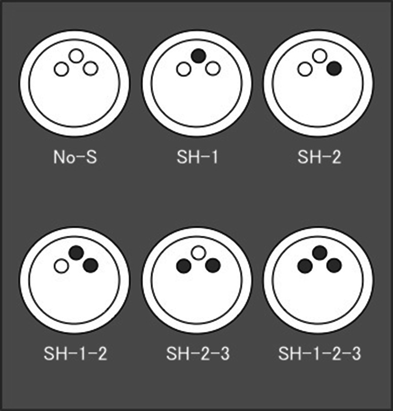 Fig. 2