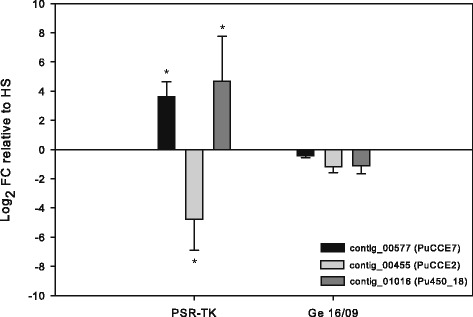 Fig. 10