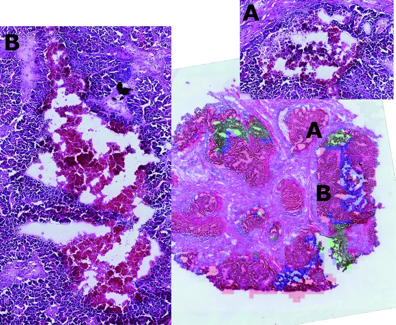 Fig. 7