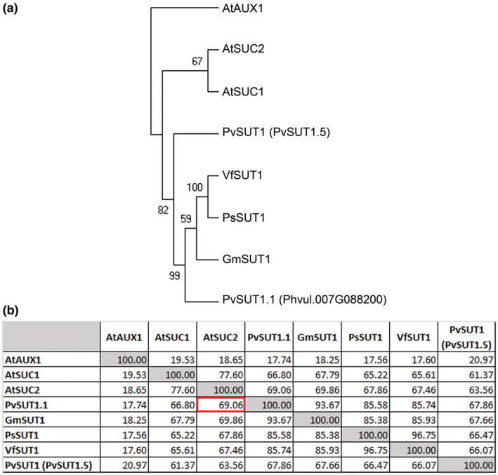 FIGURE 1