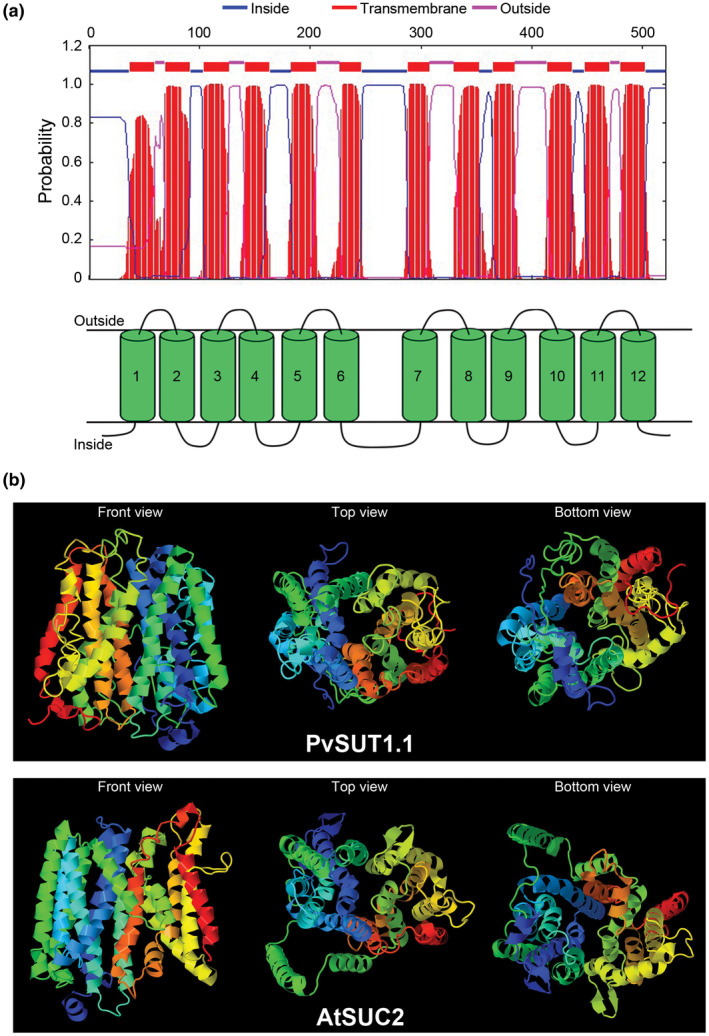 FIGURE 2