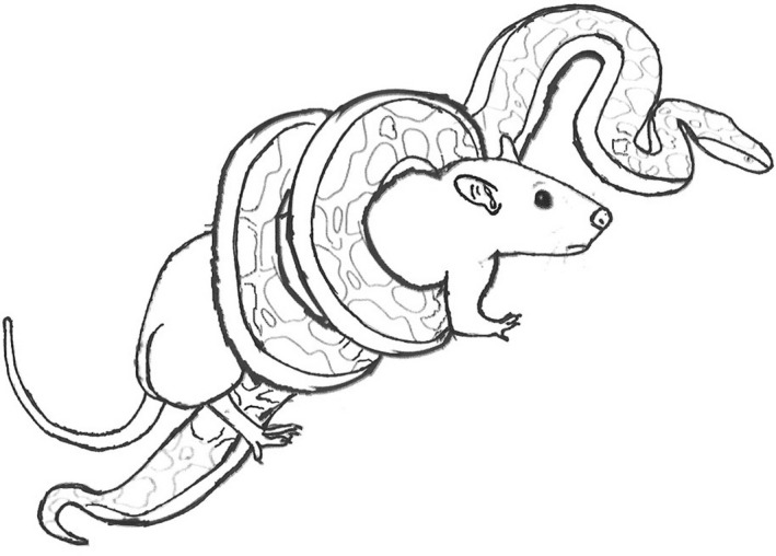 FIGURE 4