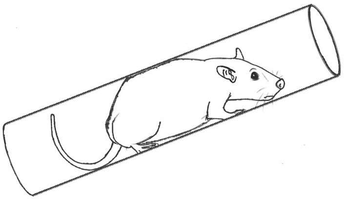 FIGURE 3