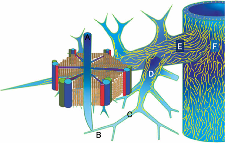 Fig 7