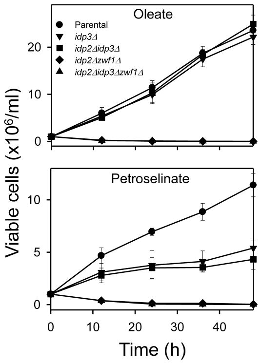 Fig. 3