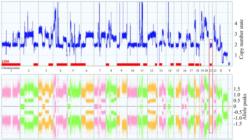 Fig. 3