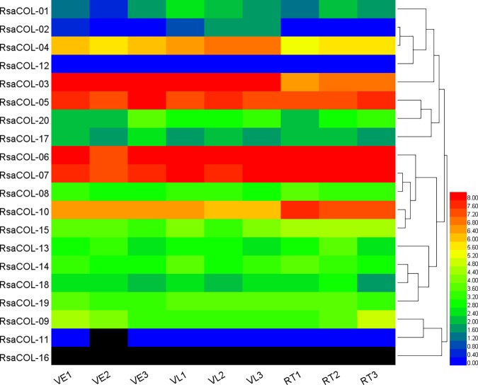 Fig 10