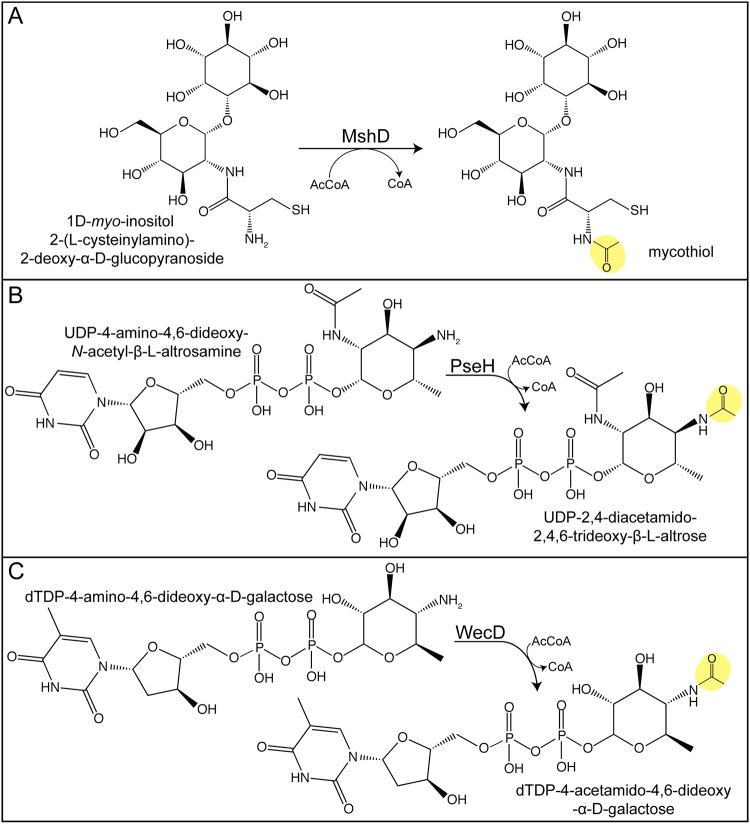 FIG 8