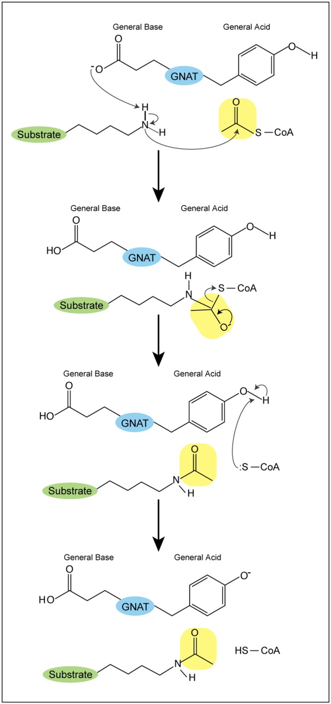 FIG 2