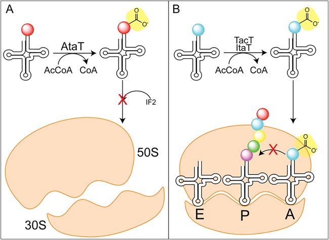 FIG 7