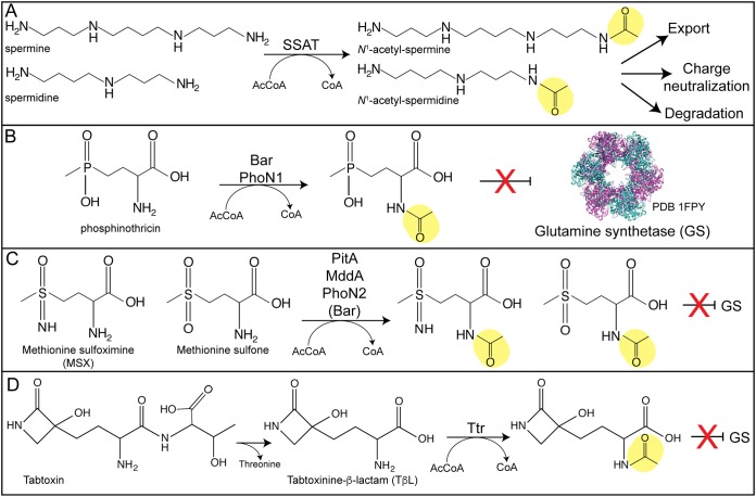 FIG 6