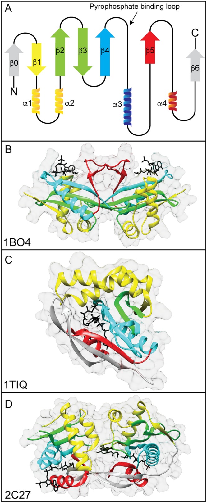 FIG 1