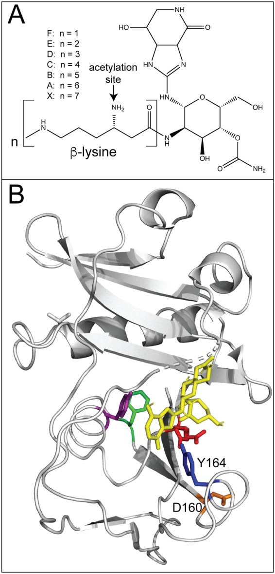 FIG 5