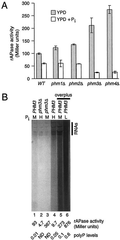 FIG. 5.