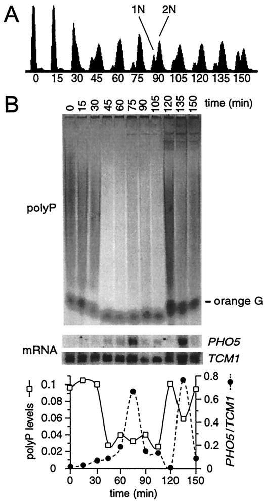 FIG. 7.