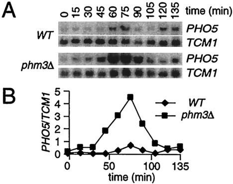 FIG. 8.