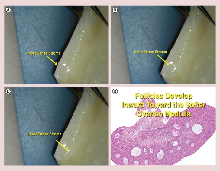 Figure 6.