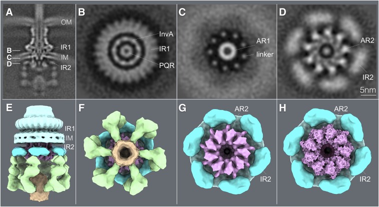 Fig. 6.