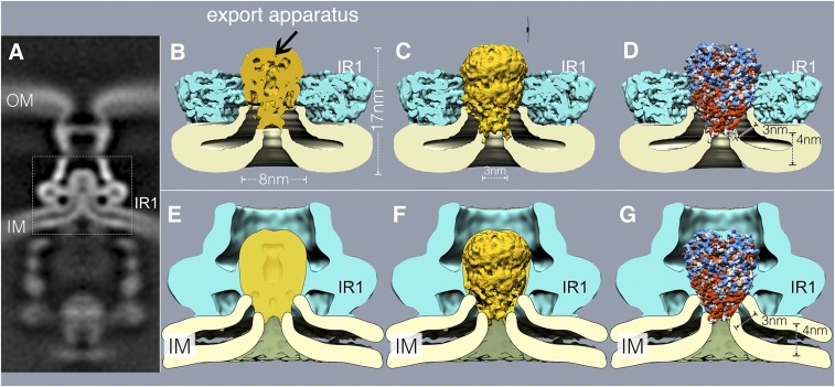 Fig. 3.