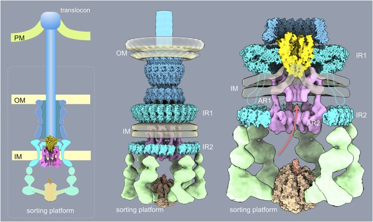 Fig. 7.