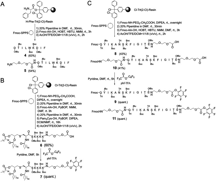 Scheme 1