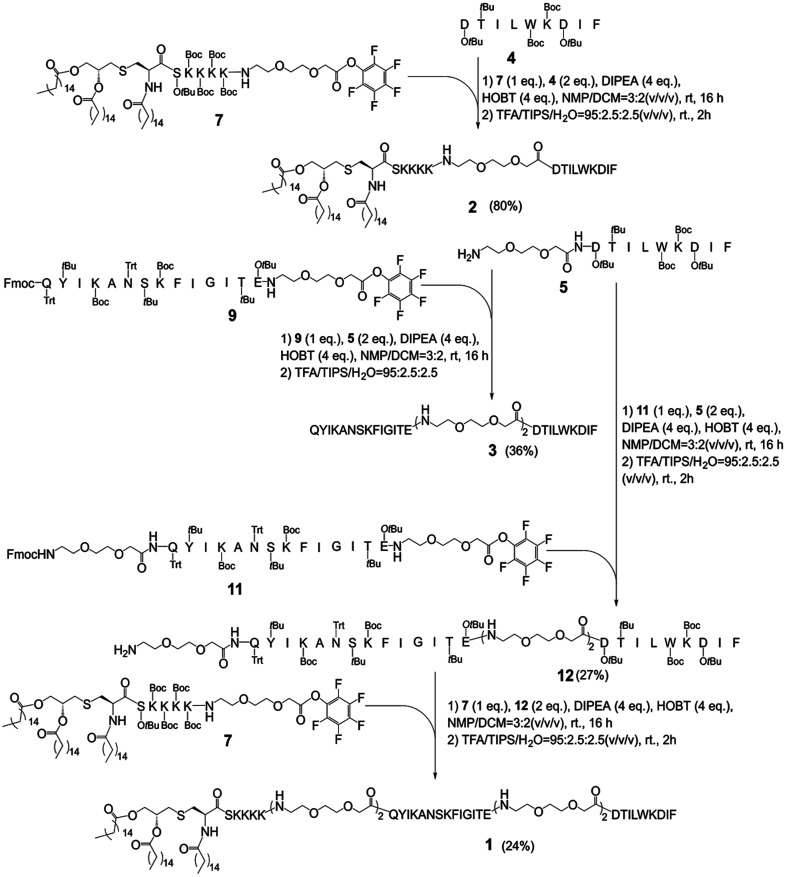 Scheme 2