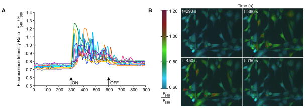 Fig. 2