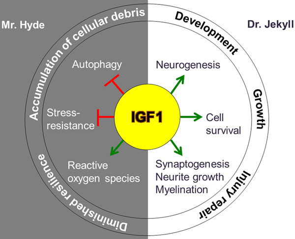 Figure 3.