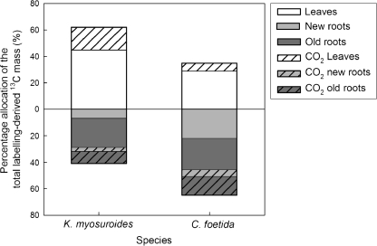 Fig. 3.