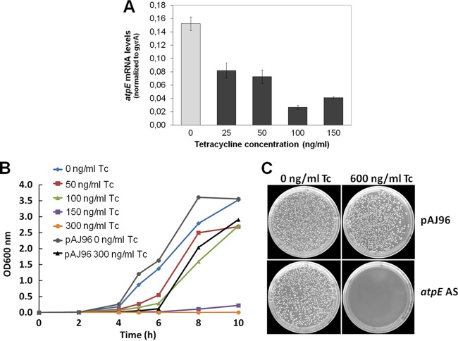 Fig 6