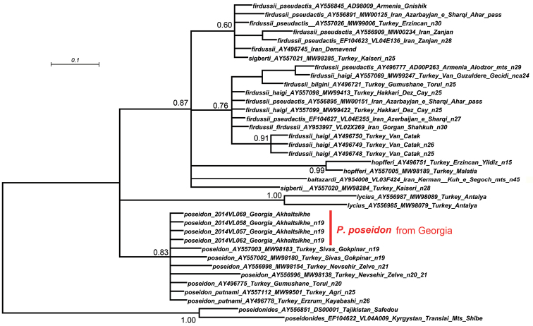 Figure 2.