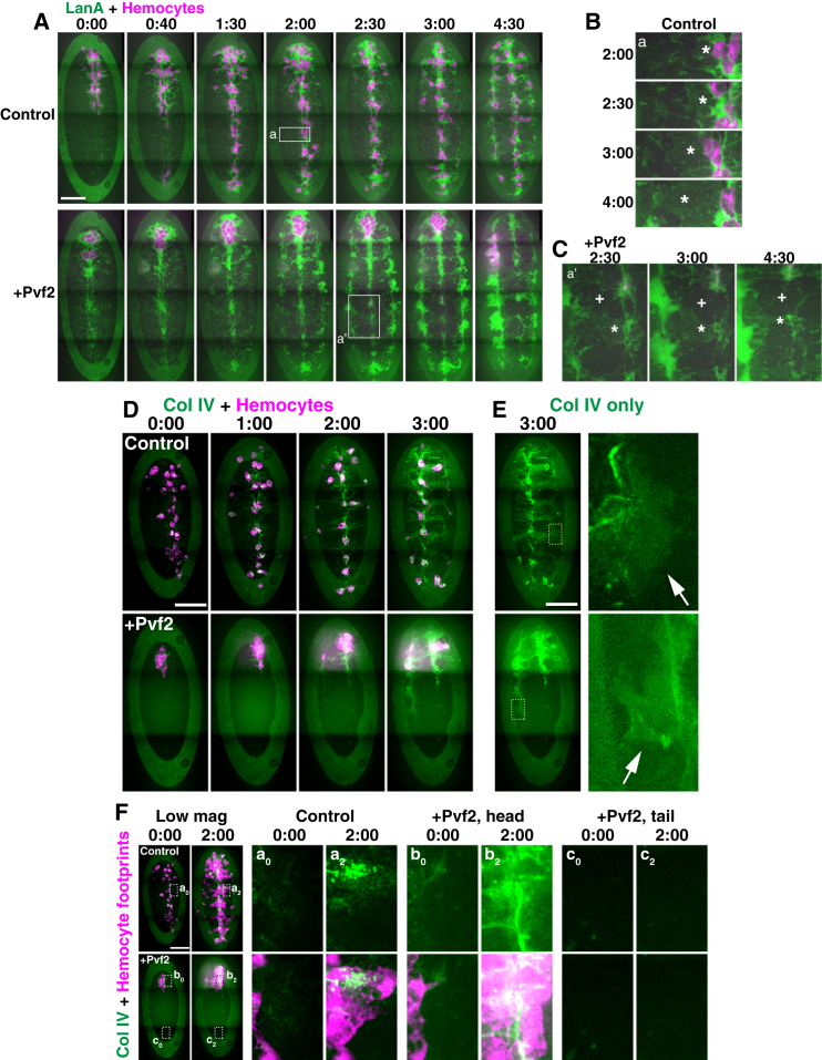 Figure 3