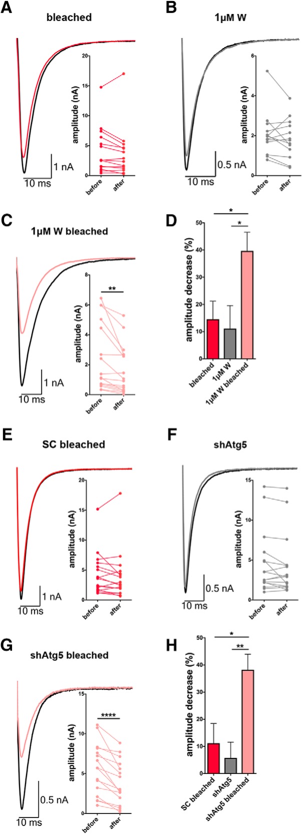 Figure 11.