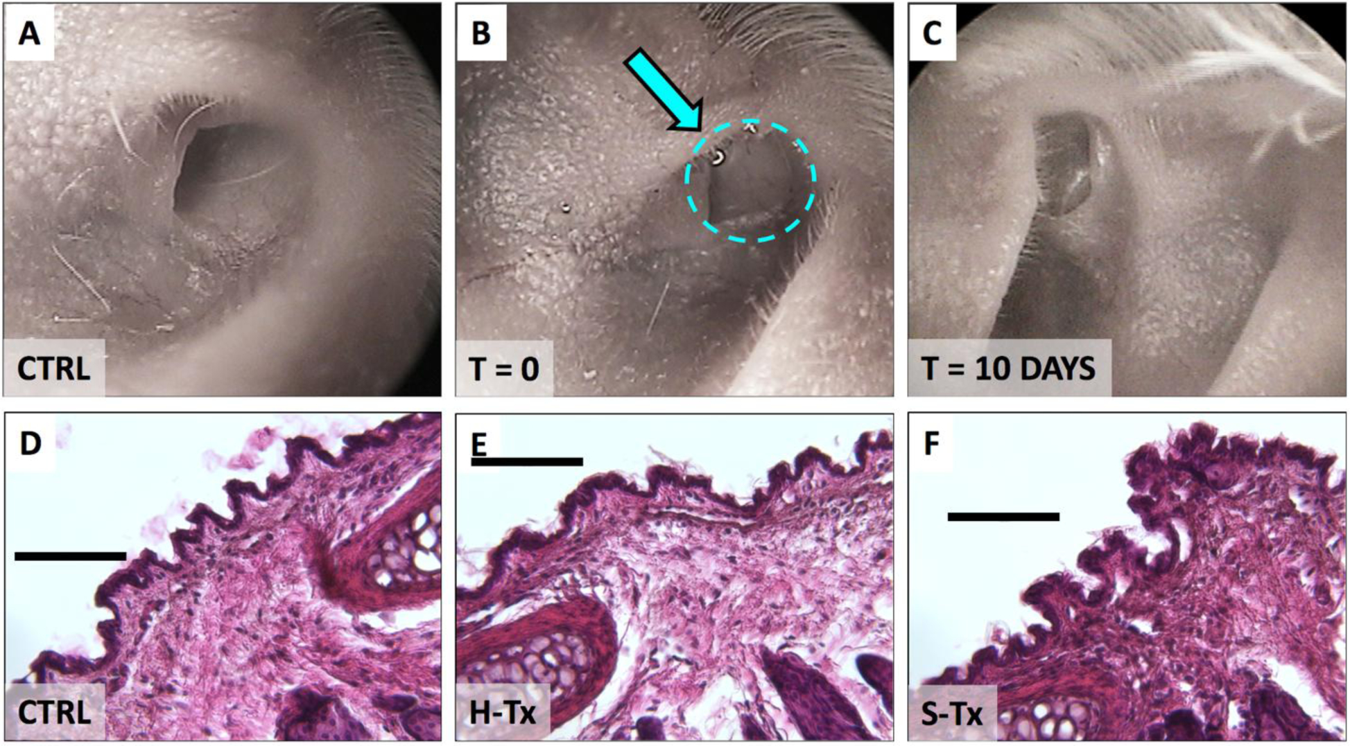 Figure 5.