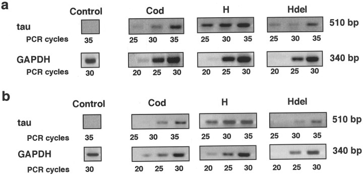 Fig. 8.