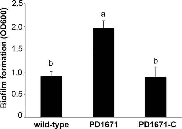 Fig 4