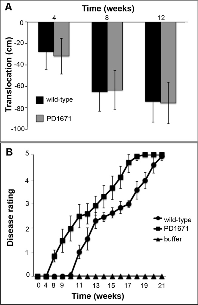 Fig 5