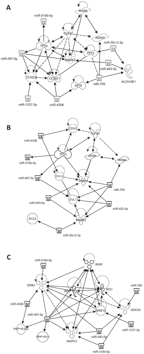 Figure 2.