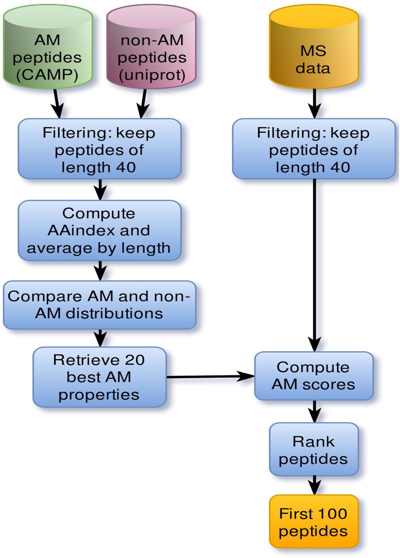 FIGURE 1