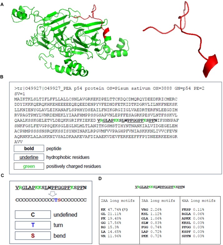 FIGURE 3