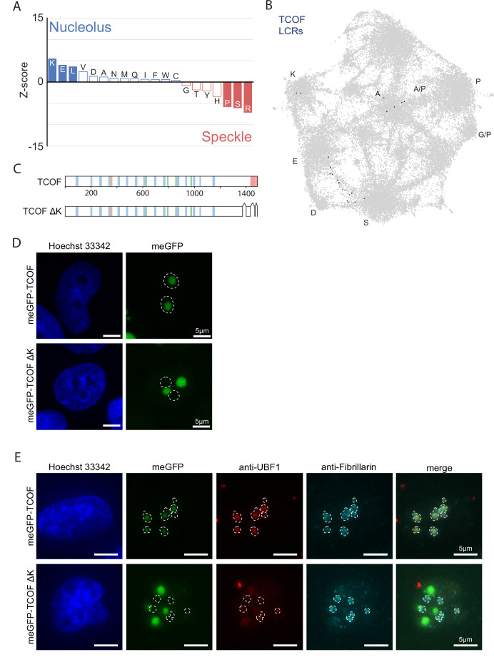 Figure 4—figure supplement 1.