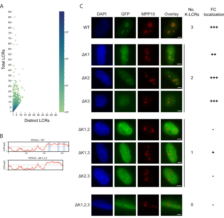 Figure 2—figure supplement 1.